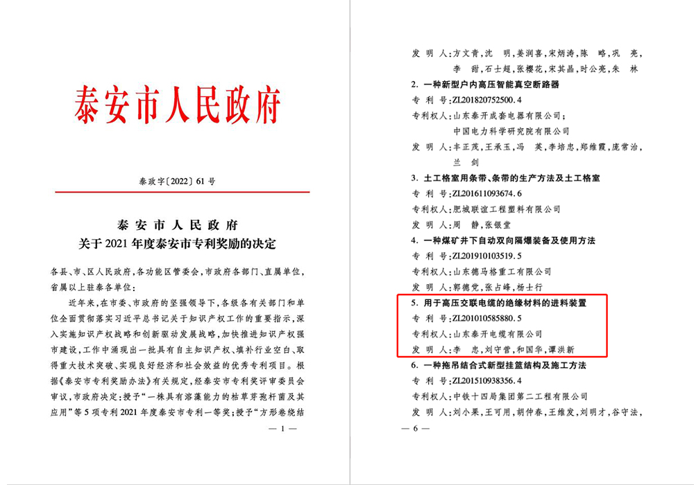 泰安市專利獎（用于高壓交聯(lián)電纜的絕緣材料的進(jìn)料裝置）