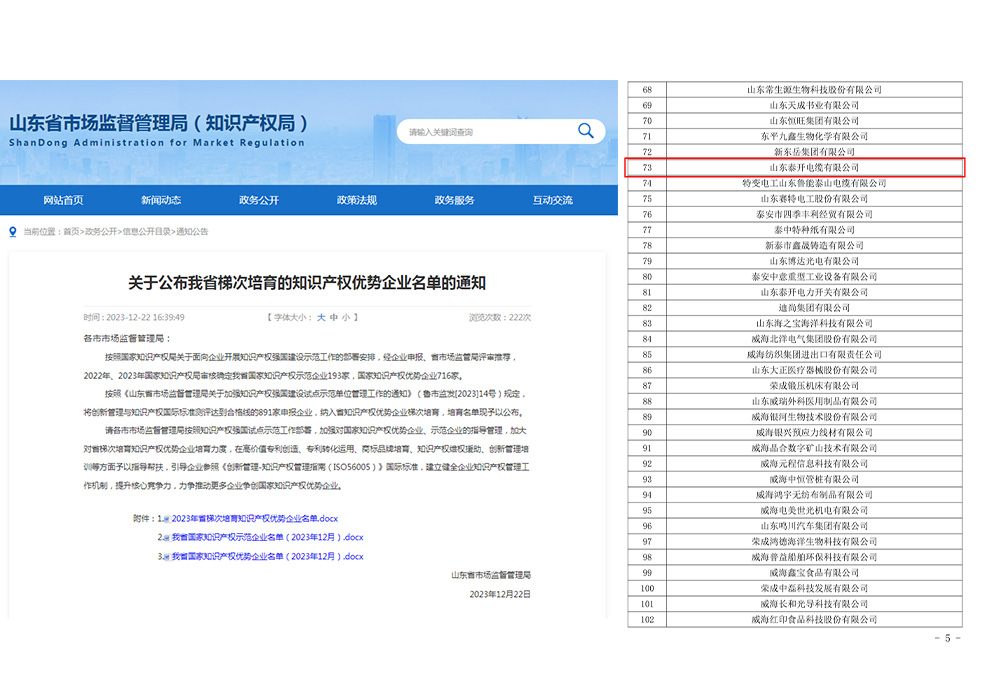 山東省梯次培育知識(shí)產(chǎn)權(quán)優(yōu)勢(shì)企業(yè)